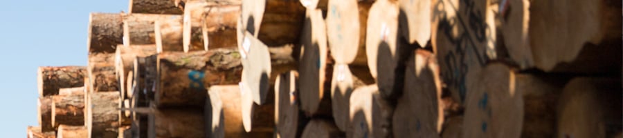 Close up of a pile of logs