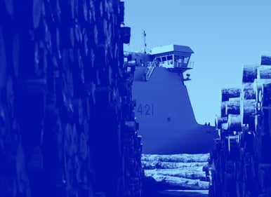 c3-teaser-looking-between-log-piles-at-a-ship-in-port-blue-duotone