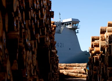 c3-teaser-looking-between-log-piles-at-a-ship-in-port