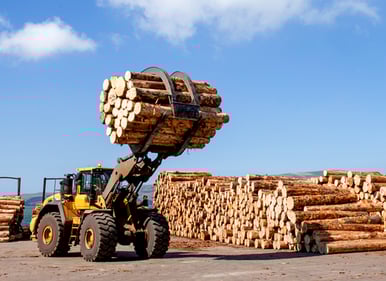 port-otago-teaser-tractor-picking-up-logs-at-port-on-a-sunny-day